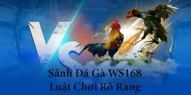 Bùng Nổ Đấu Trường Đá Gà WS168 Tại 8XBET Chinh Phục Thắng Lớn 1 Bùng Nổ Đấu Trường Đá Gà WS168 Tại 8XBET Chinh Phục Thắng Lớn