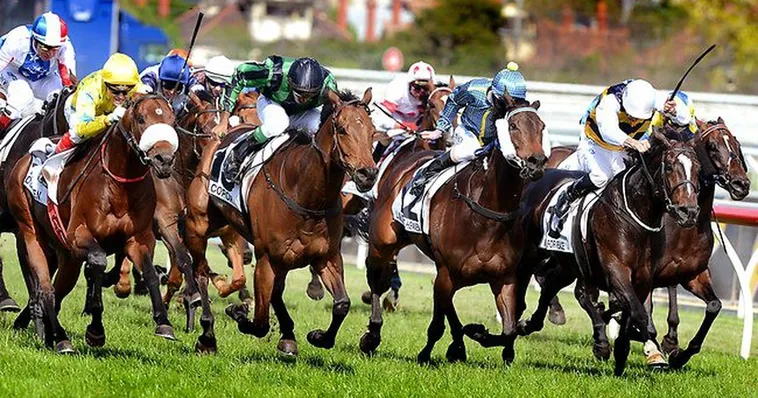 Khám Phá Đỉnh Cao Cá Cược Đua Ngựa 8XBET Cực Đỉnh Nhất 2025